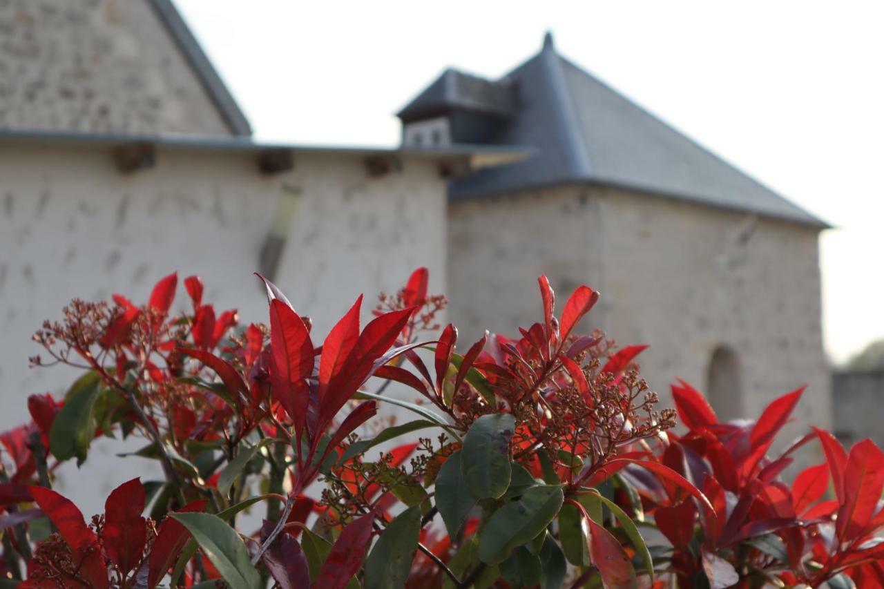 Gîtes De Saint Rémy Villers-Cotterêts Buitenkant foto